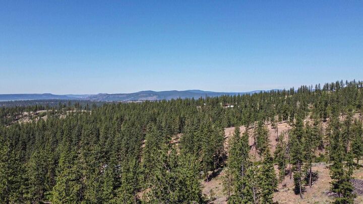 5687xx Corkscrew Canyon Rd  Tumtum WA 99034 photo