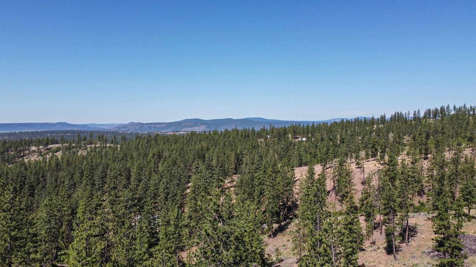 Property Photo: 5687xx Corkscrew Canyon Rd WA 99034