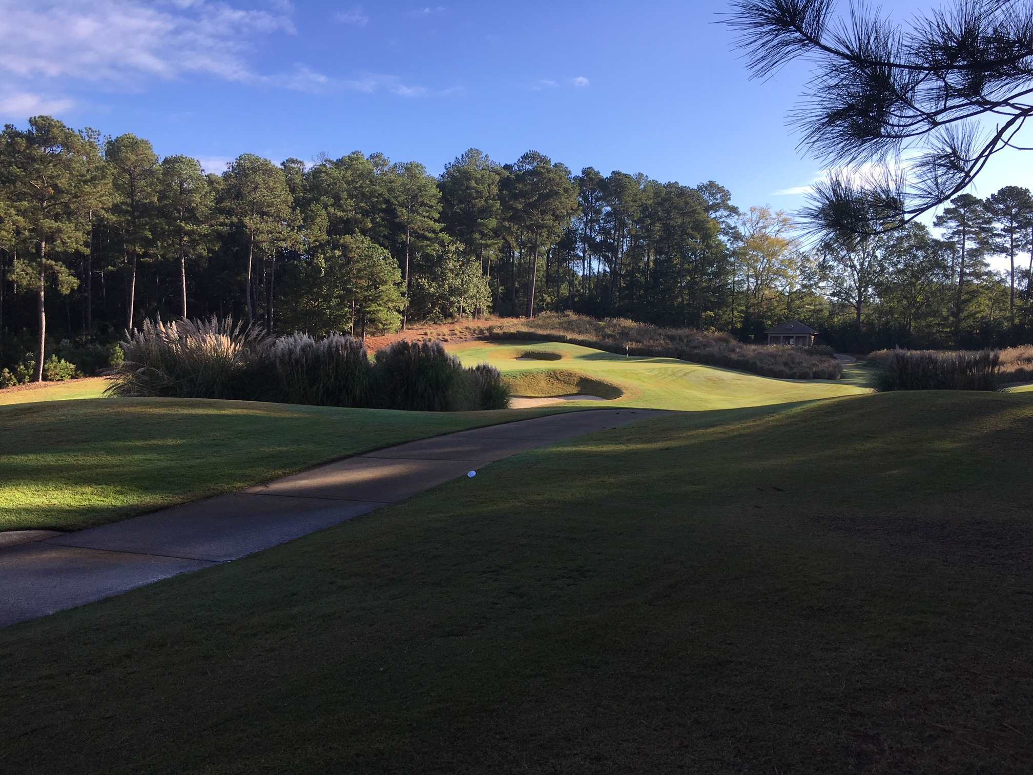 Property Photo: 1161 Anchor Bay Circle GA 30642