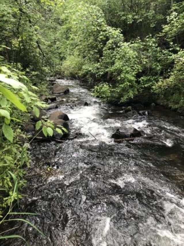 Property Photo: Xx Deer Creek Rd WA 99181-0000