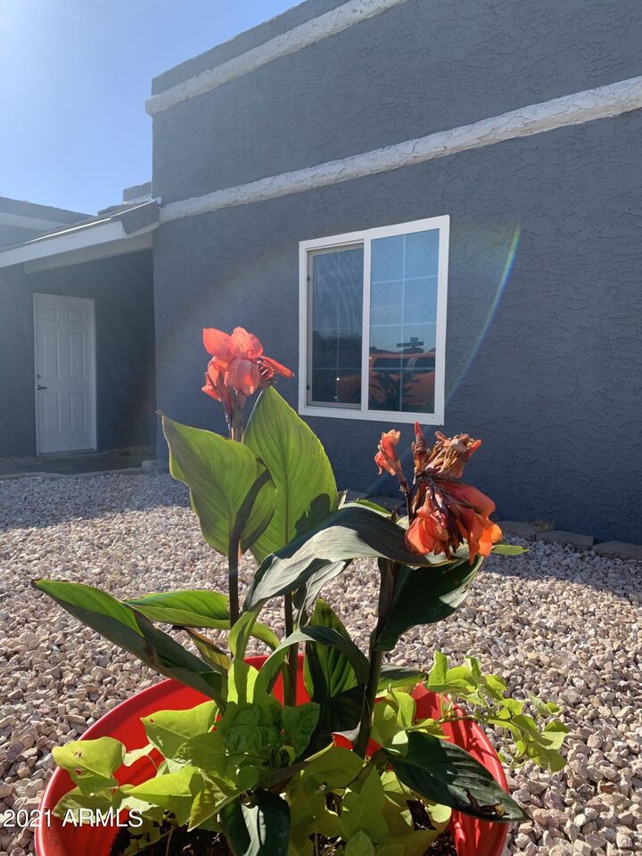 Property Photo: 1238 E McLellan Road AZ 85203