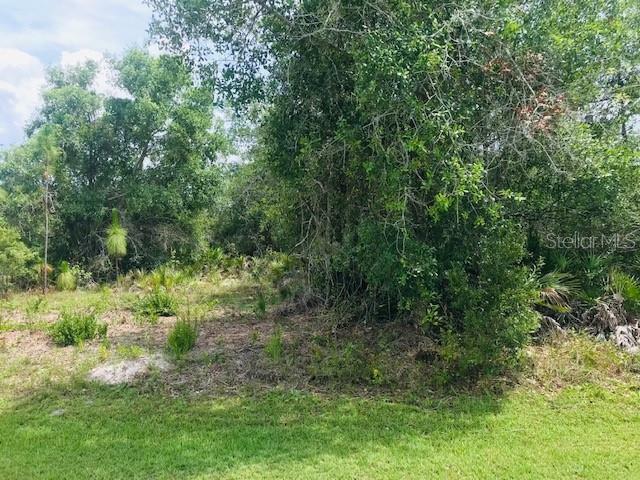 Property Photo:  29457 Goodhue Street  FL 33982 