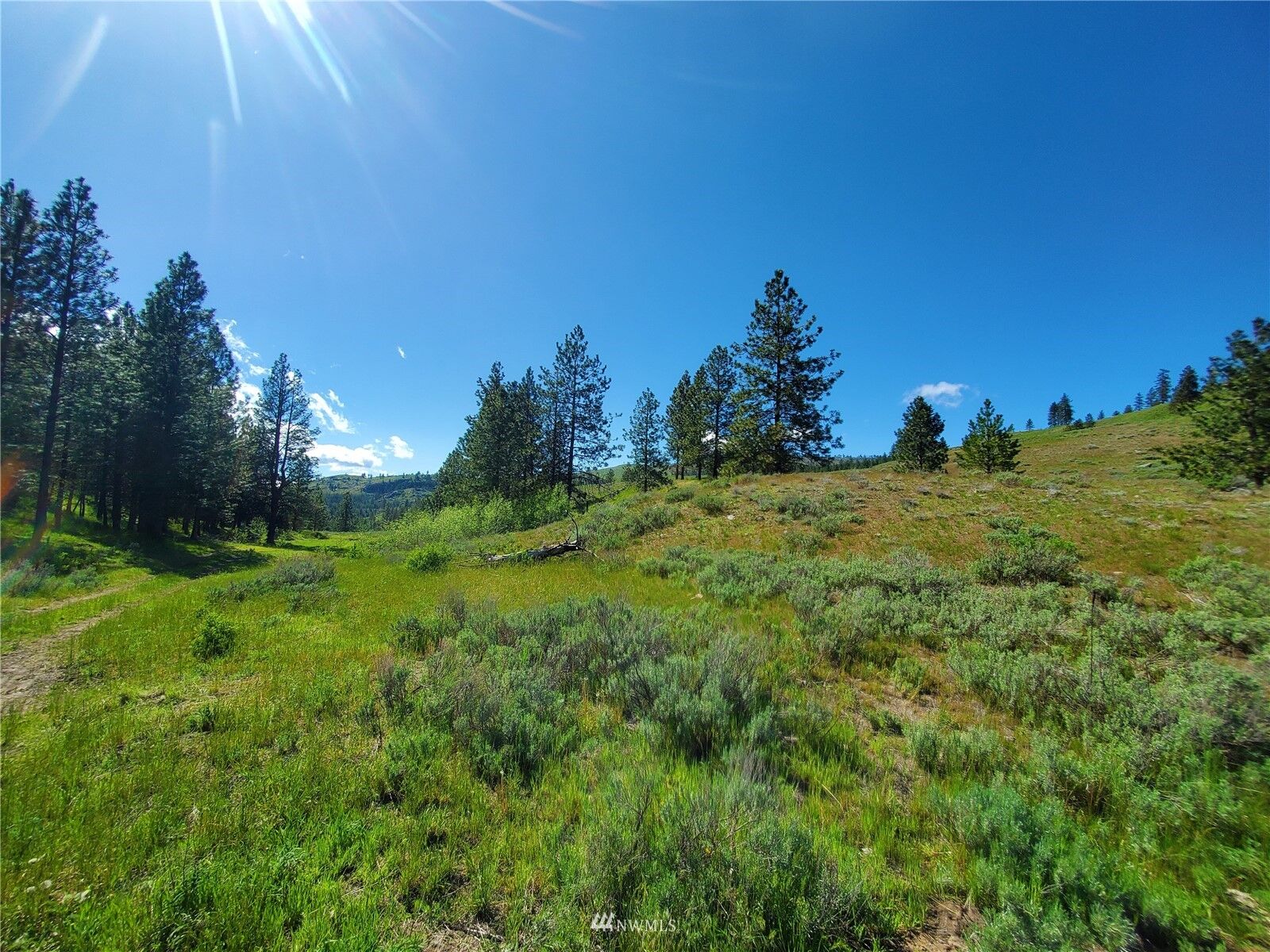 Property Photo: 0 Tbd Cook Mtn Road WA 98829