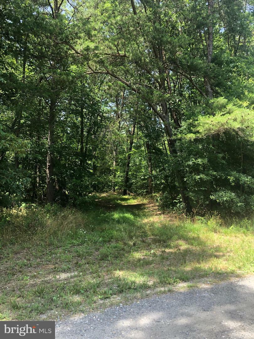 Property Photo: Opals Place MD 20695