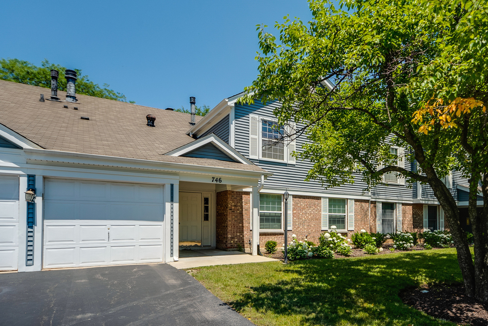 Property Photo:  746 Candleridge Court A1  IL 60103 