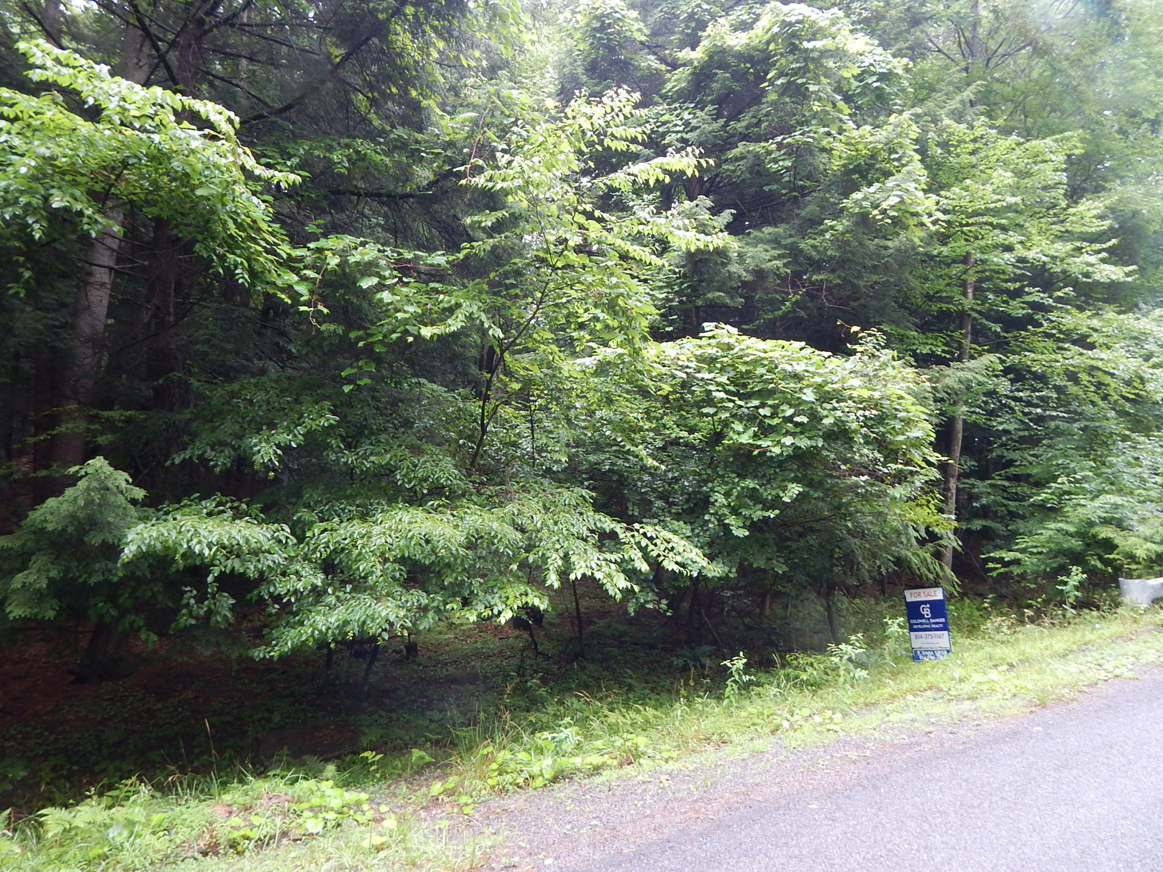 Property Photo:  Sec 25 Pinder Point Ct  PA 15801 