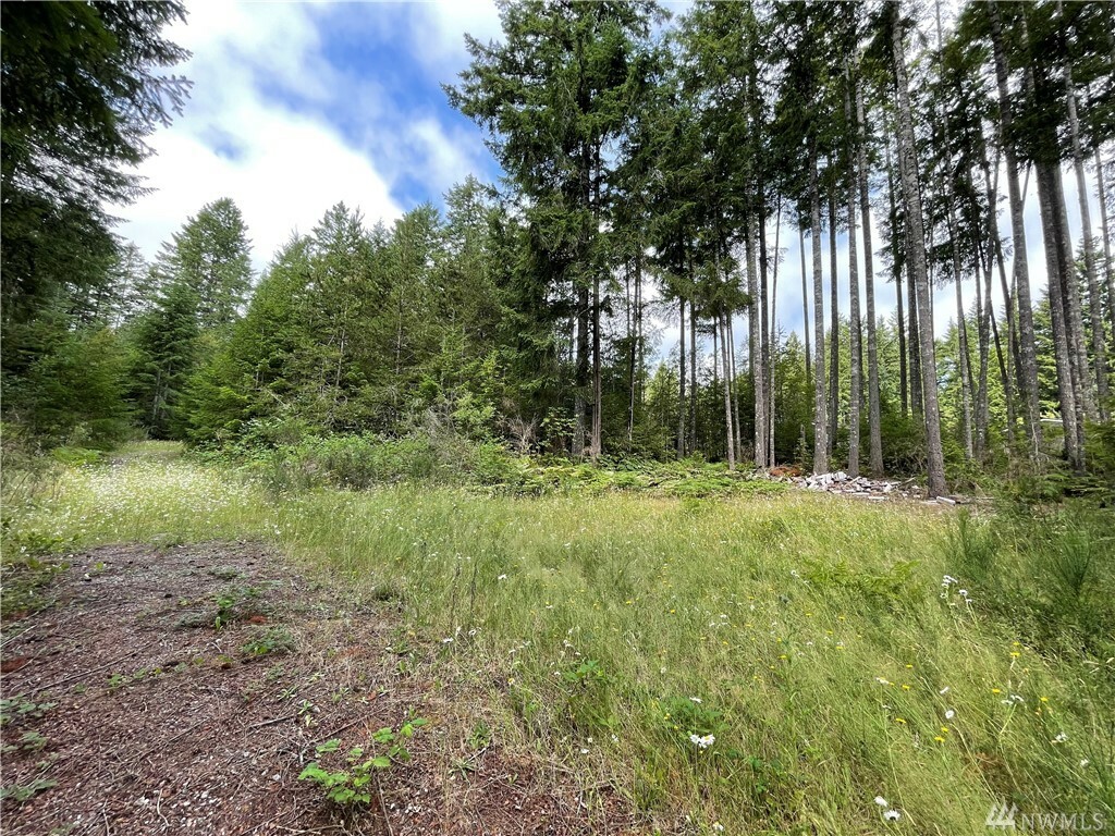 Property Photo:  0 Wye Lake Blvd SW  WA 98367 