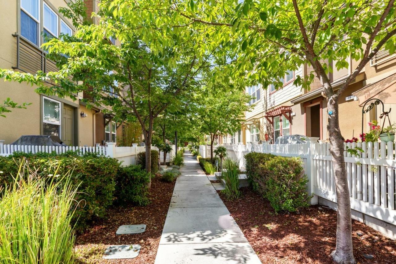 Property Photo: 222 Peppermint Tree Terrace 3 CA 94086