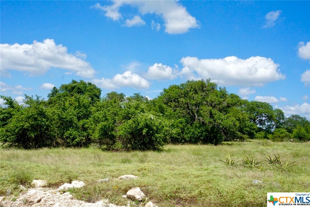 Property Photo: Lot 726 N Lon Price TX 78606