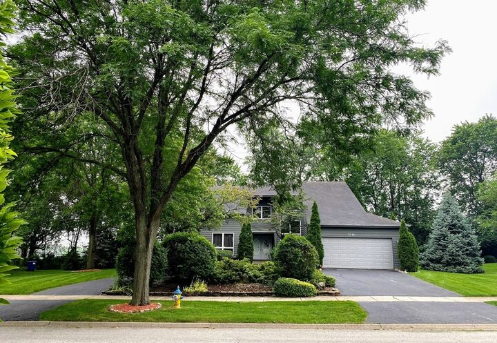 3118 Monterey Drive  Flossmoor IL 60422 photo