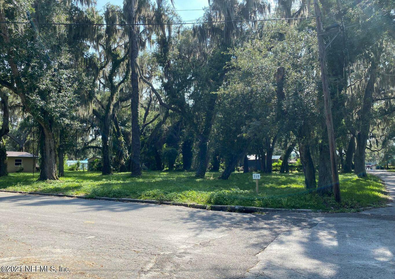 Property Photo:  719 Lemon Avenue  FL 32112 