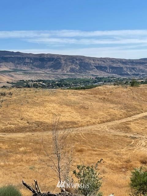 Property Photo: 20 Lot 20 Temp Rd A WA 98828