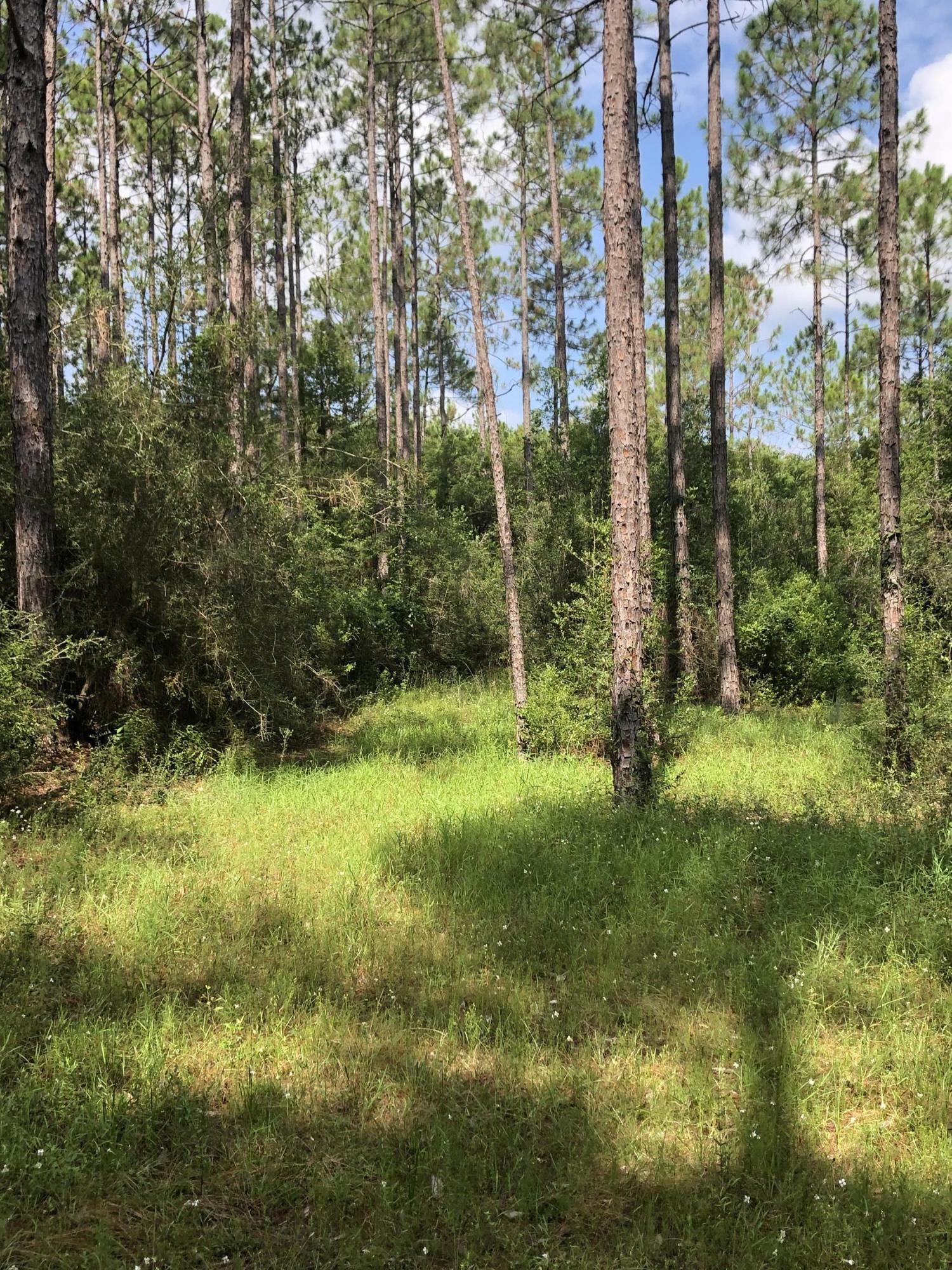 Property Photo:  0 Planters South Drive  FL 32567 