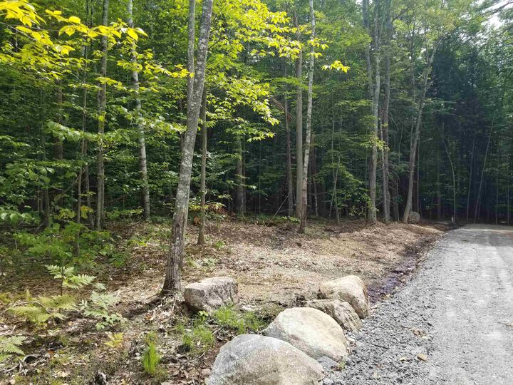 Property Photo:  4 21-C Livingston Road 21 C  NH 03253 