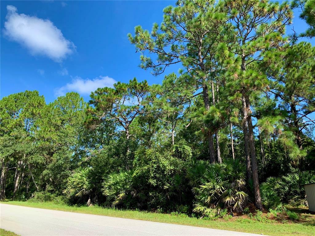 Property Photo:  Lot 27 W Thyme Avenue  FL 32736 