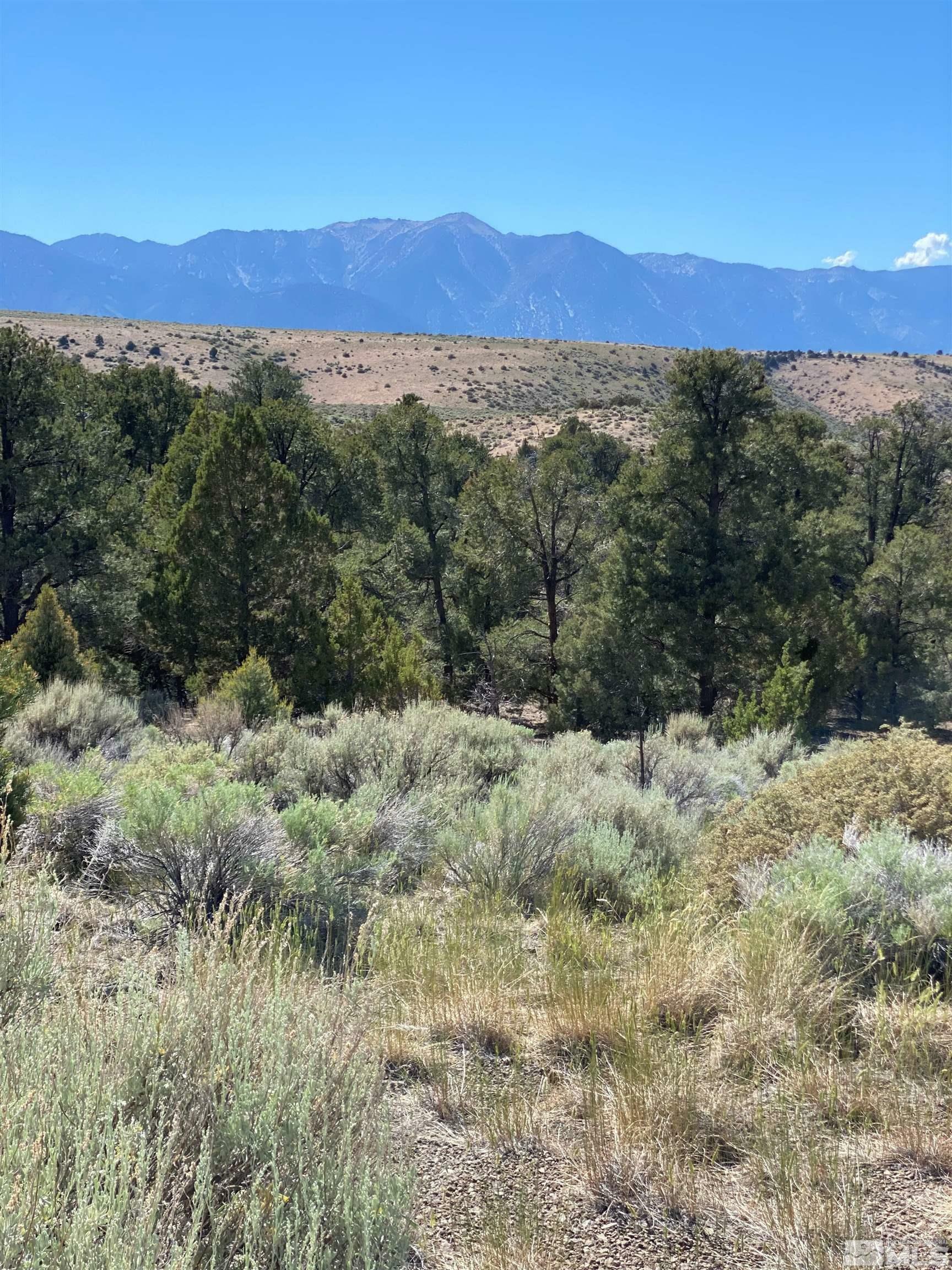 Property Photo:  Tbd China Springs (East Lot)  NV 89410 