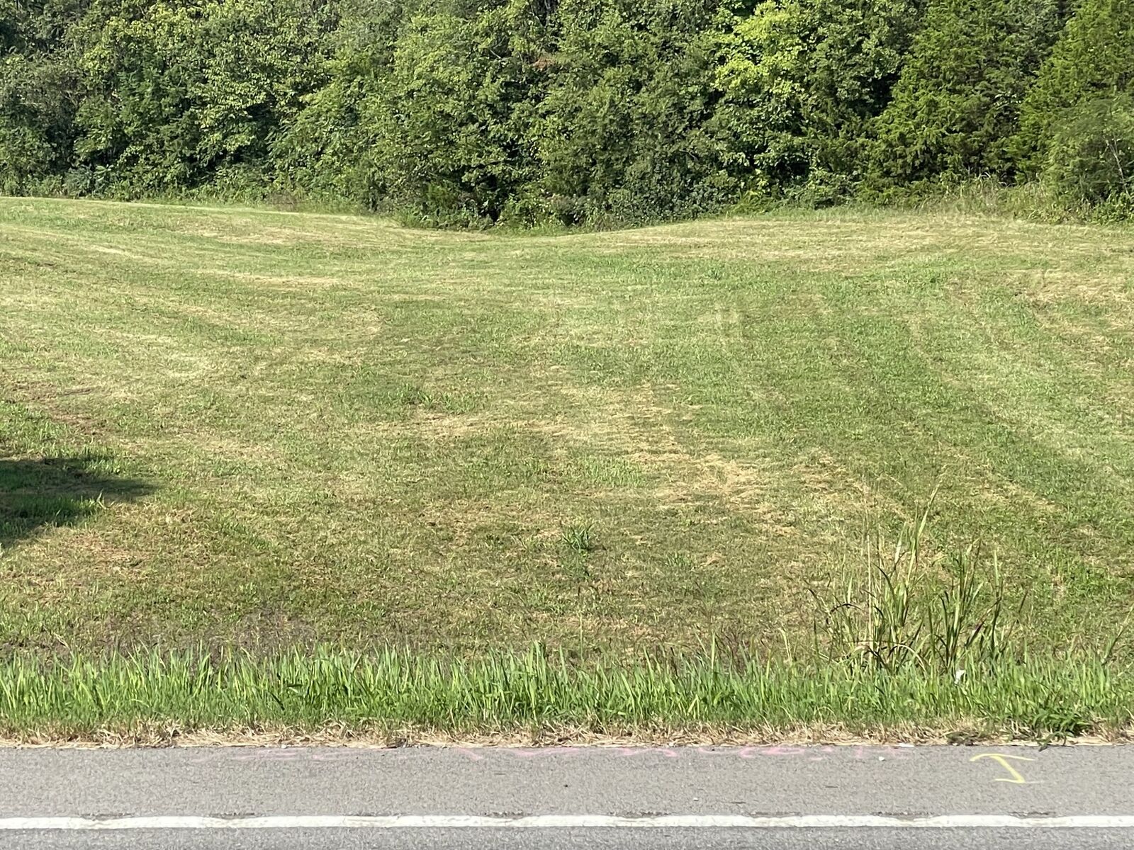 Property Photo:  0 Highway 231  TN 37022 