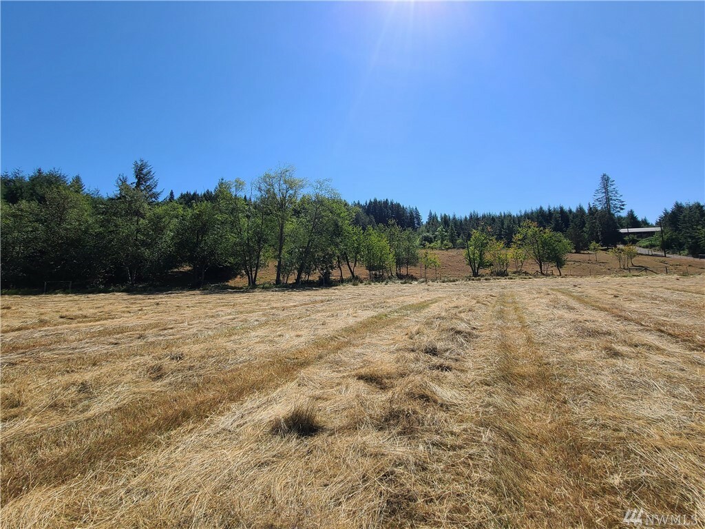 Property Photo:  0 Salzer Valley Rd  WA 98531 