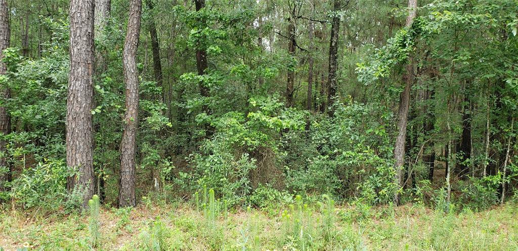 Property Photo: Tr 111 Jayhawker Road TX 77328