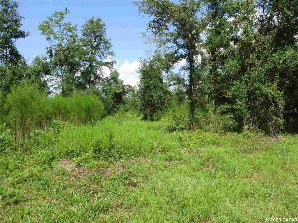 Property Photo:  Parcel 1 NW County Road 2054  FL 32615 