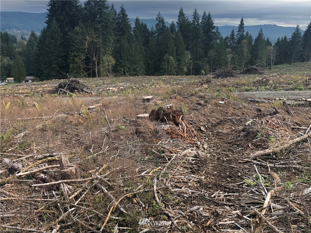Property Photo: 0 Mull Road WA 98611