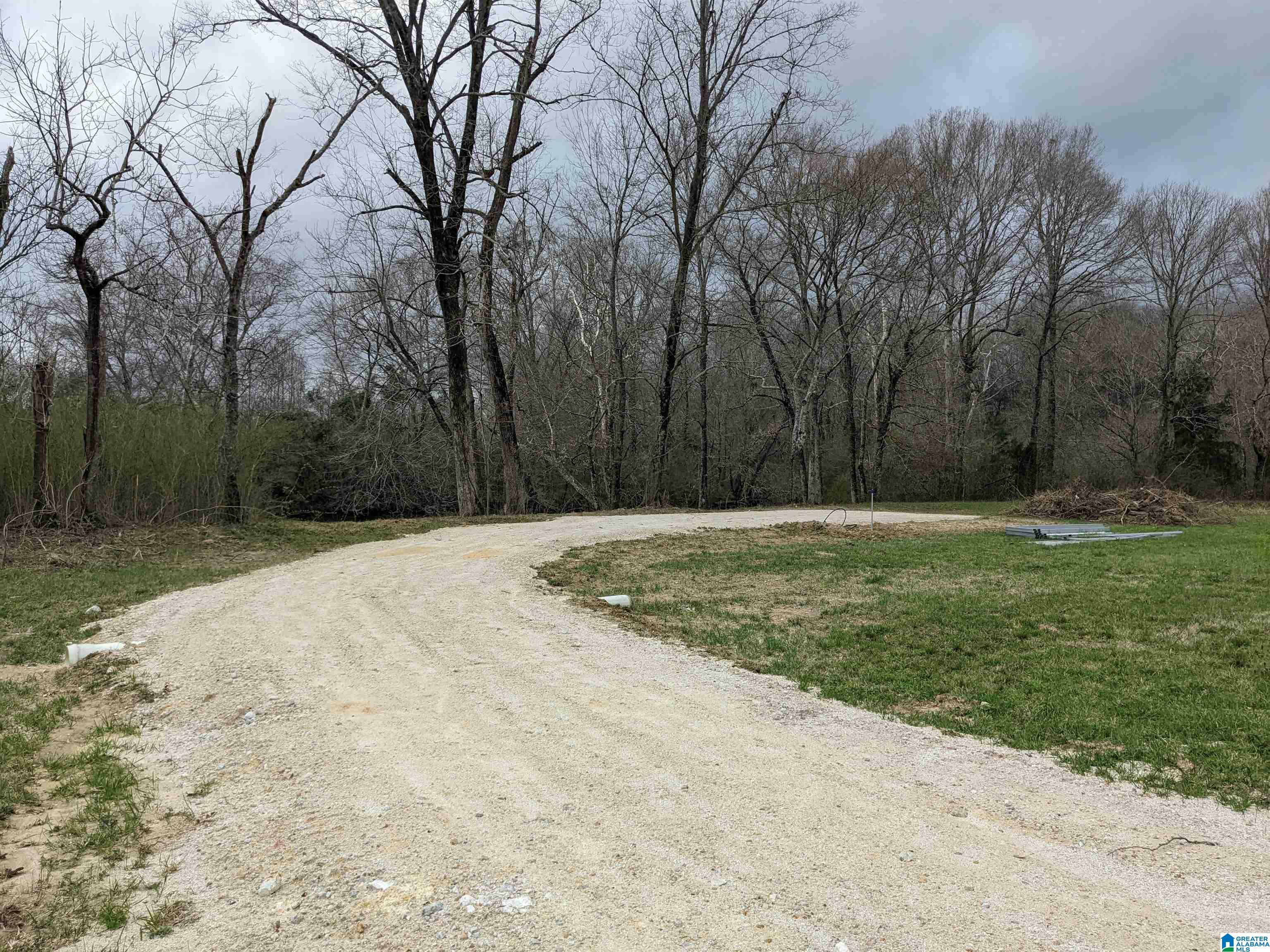 Property Photo: 0 County Road 1021 27B AL 36272