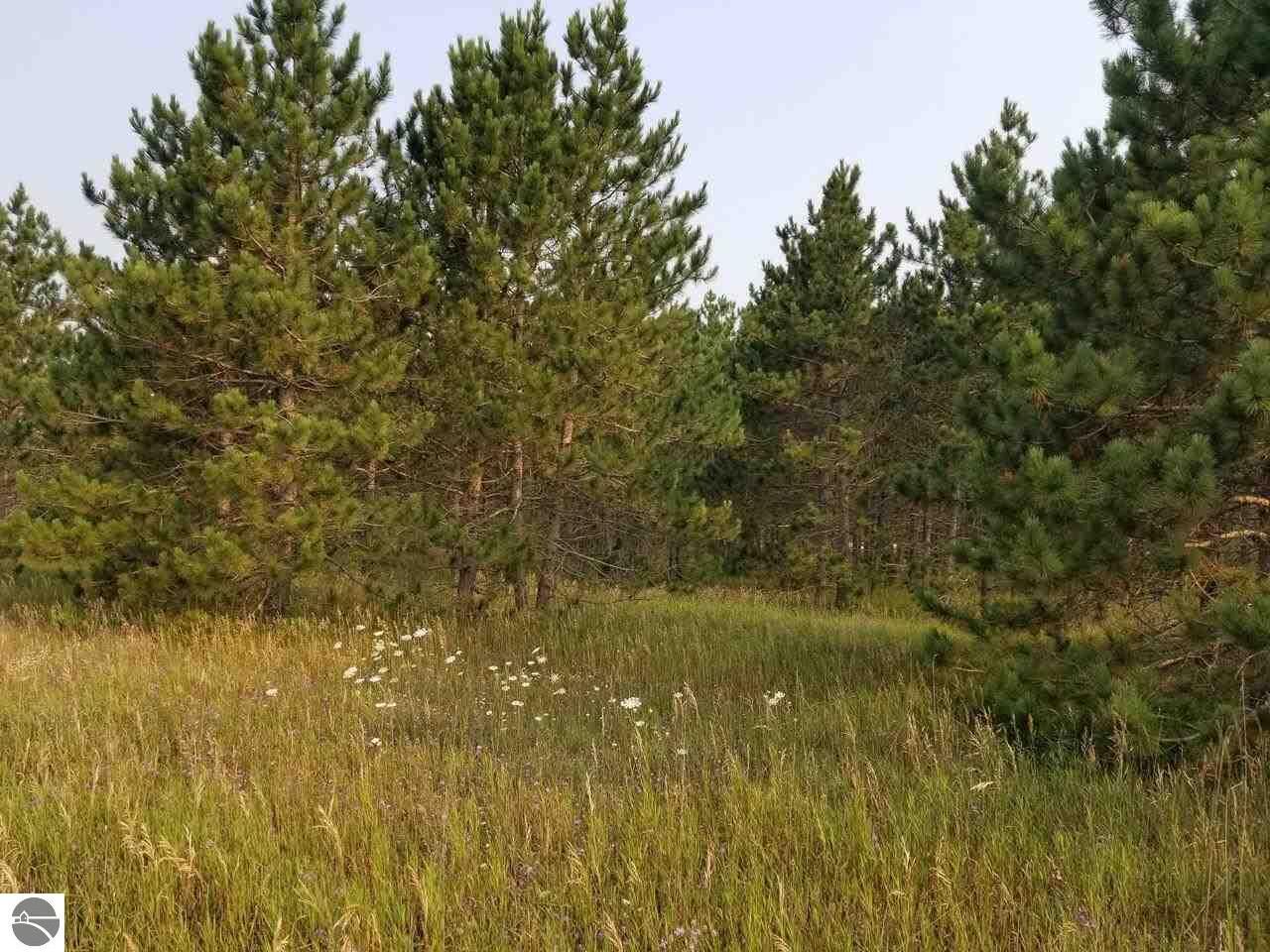 Property Photo:  3.76 Acres Alba Highway  MI 49611 