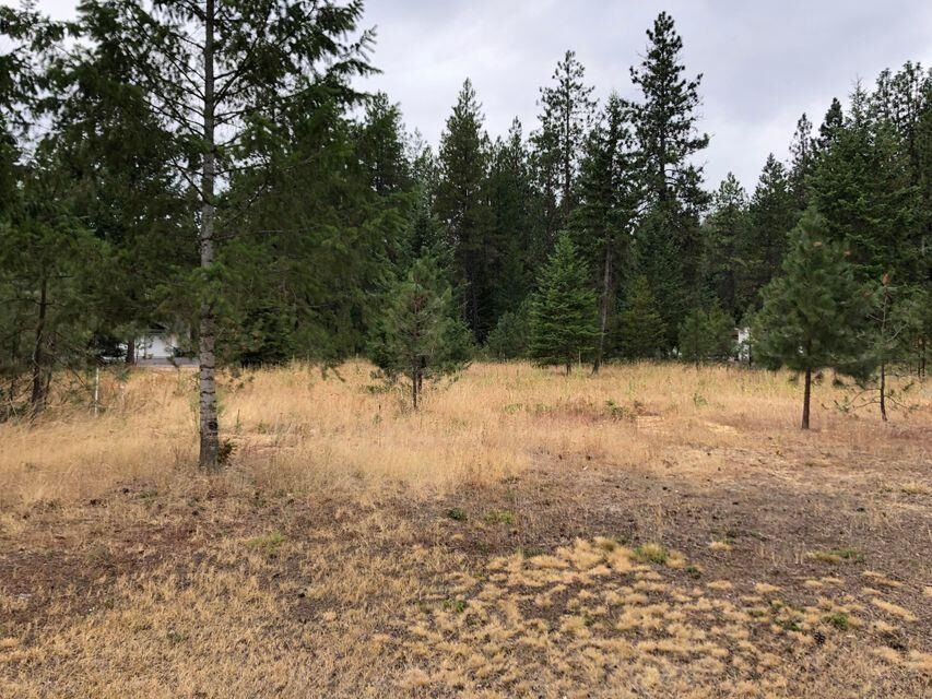 Property Photo:  107 W Trappers Loop  WA 99109 