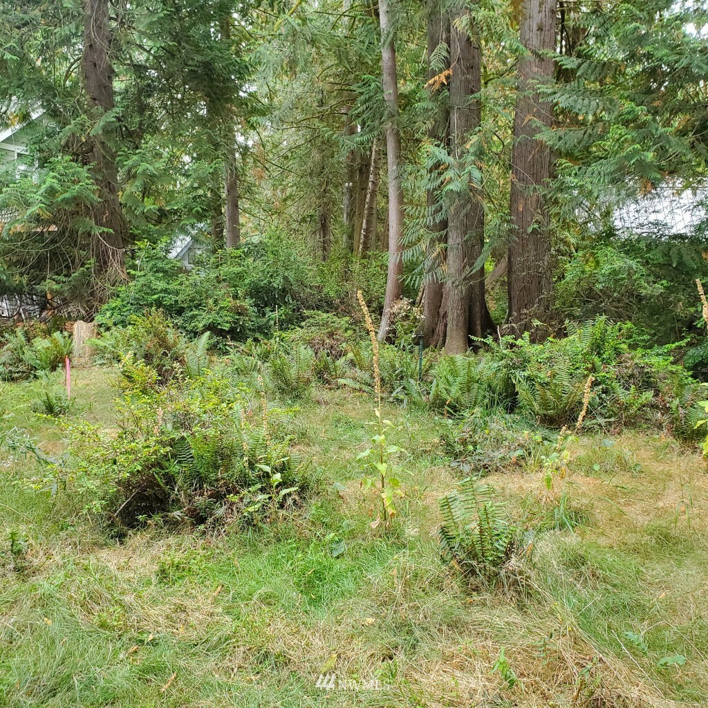 Property Photo:  655 E Portage Road  WA 98584 