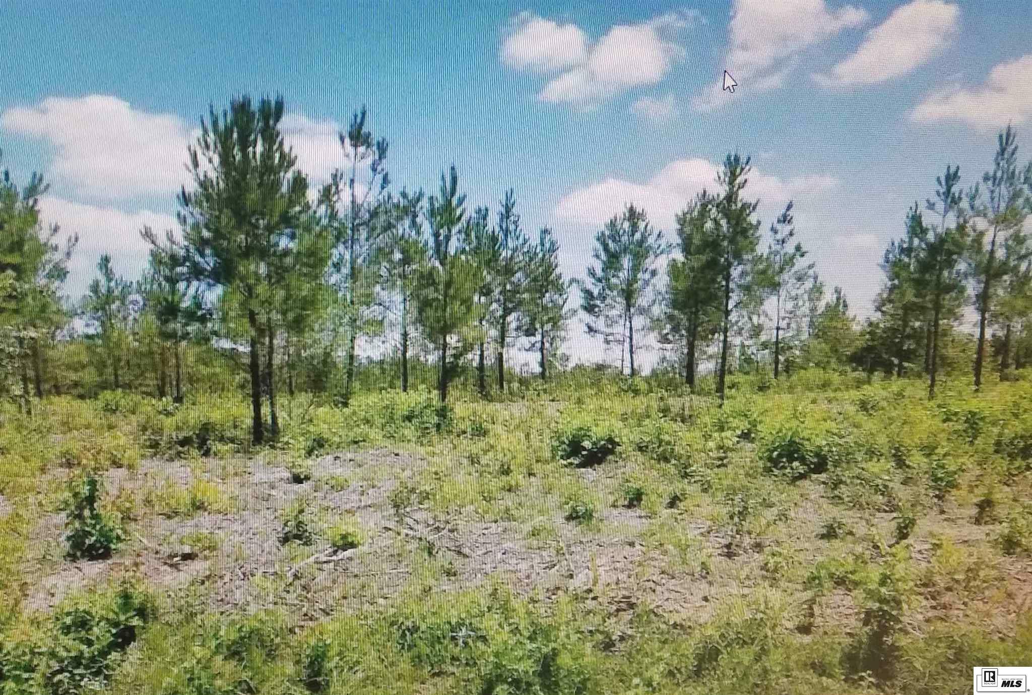 Property Photo:  Tract 3 Highway 139  LA 71203 