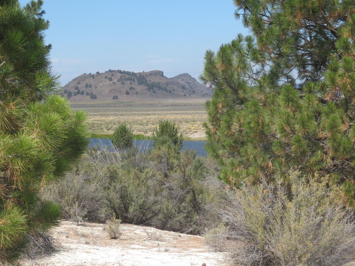 River Crest Drive Lot 14  Sprague River OR 97639 photo