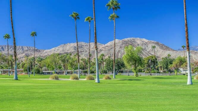 Property Photo:  46225 Burroweed Lane  CA 92260 