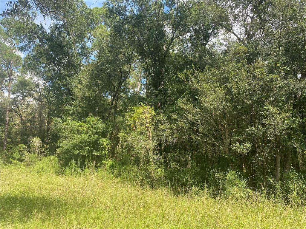 Property Photo:  0 Plymouth Rock Drive  FL 33597 