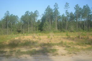 Lot 18 Goodeaux Rd  Longville LA 70652 photo