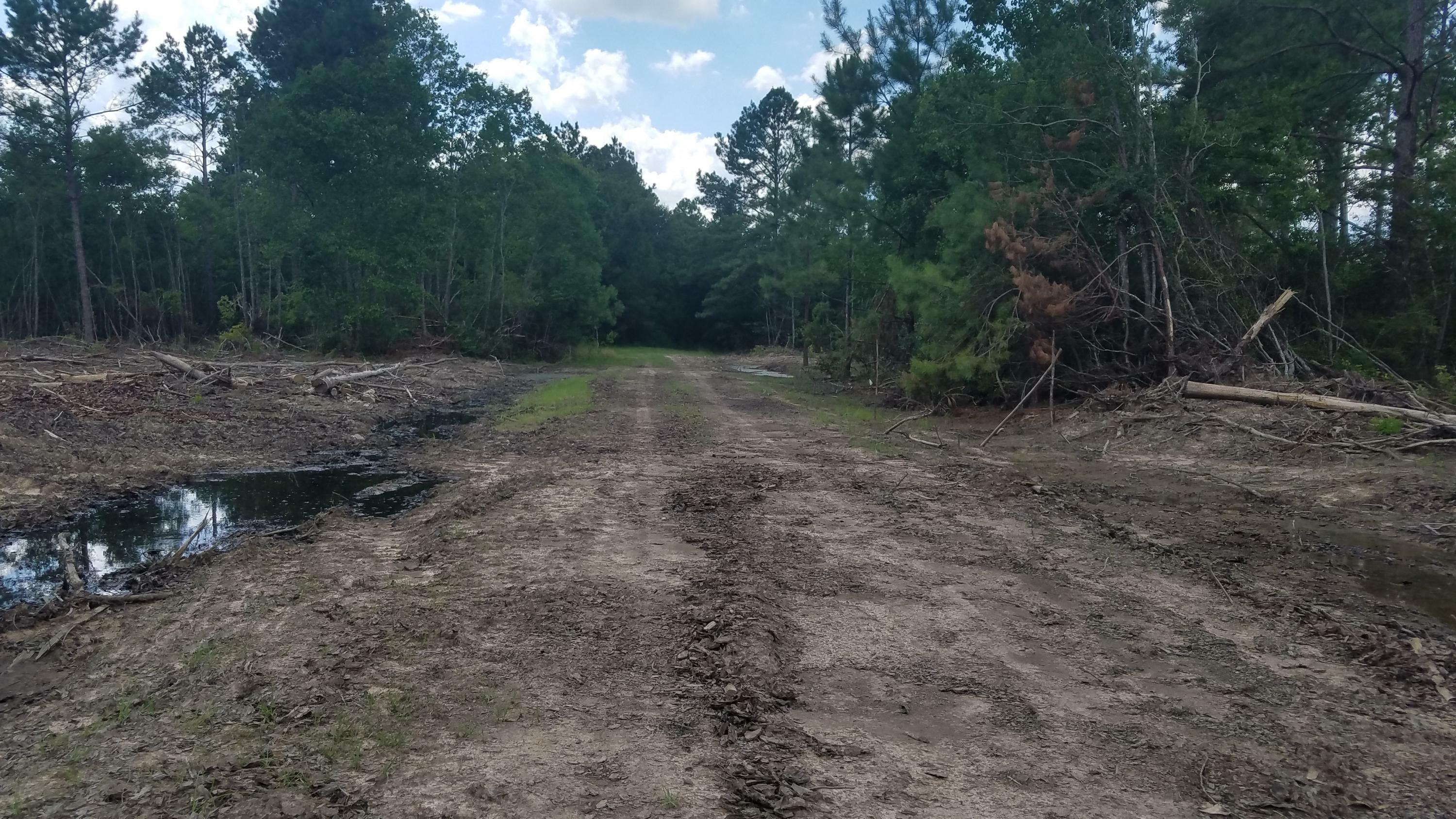 Tbd Little Happy Lane Lot 72  Deridder LA 70634 photo