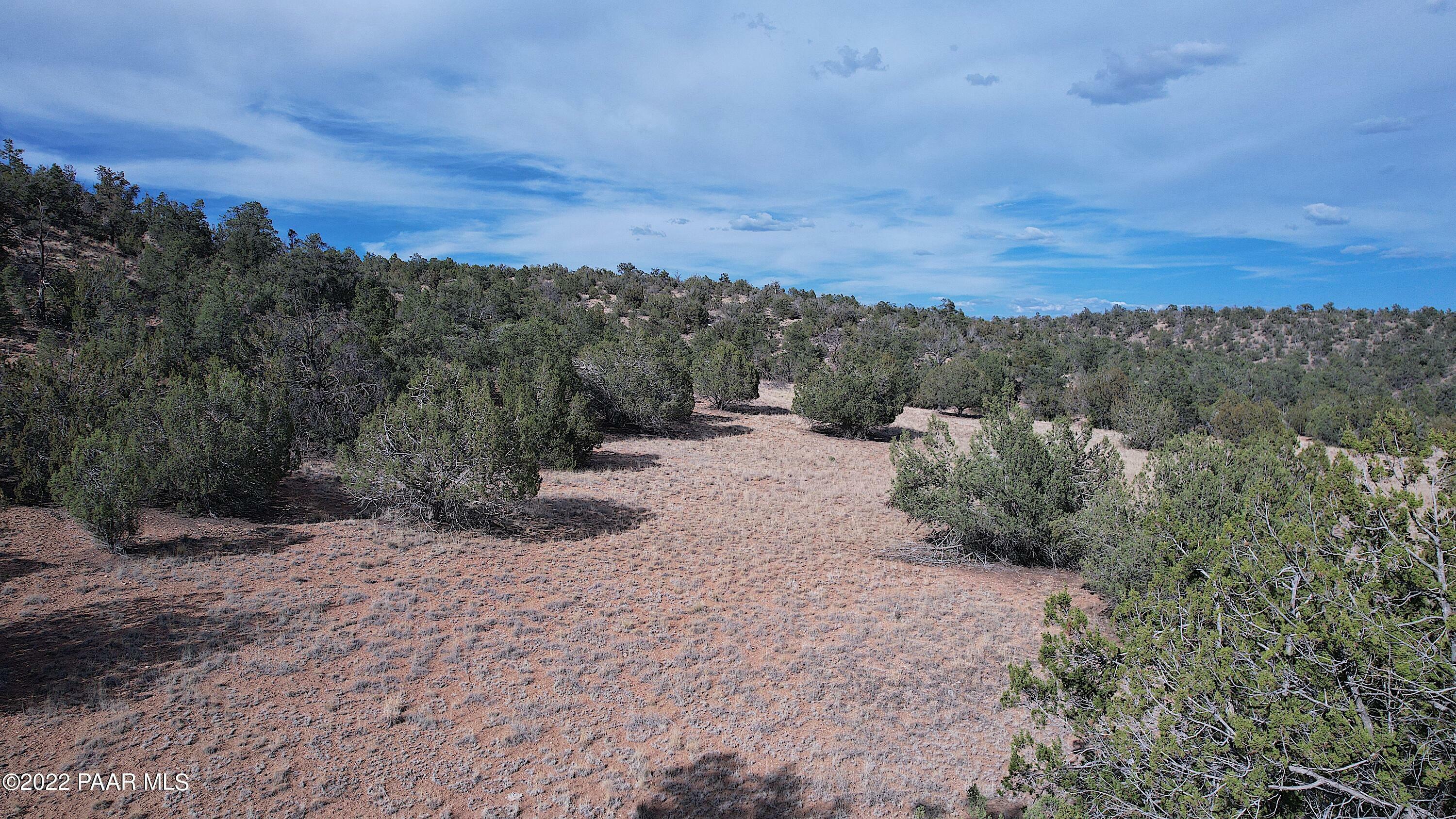 Property Photo:  52471 N Camino Gato  AZ 86337 