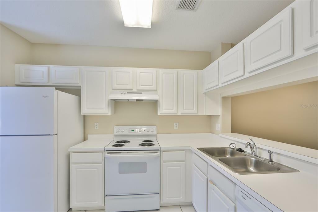 Property Photo:  30233 Lacledes Lane  FL 33543 