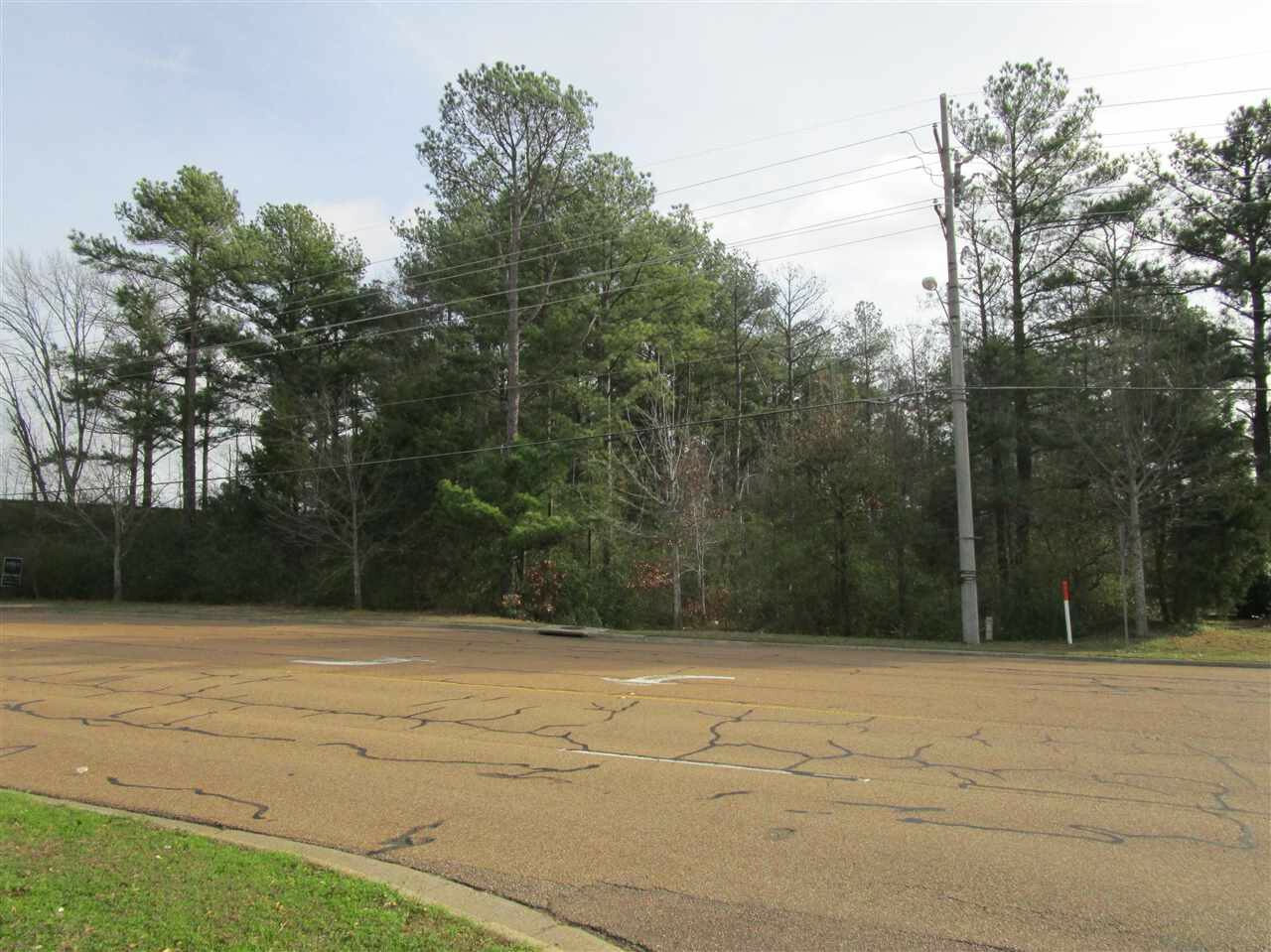 Property Photo: 0 Rice Road MS 39157
