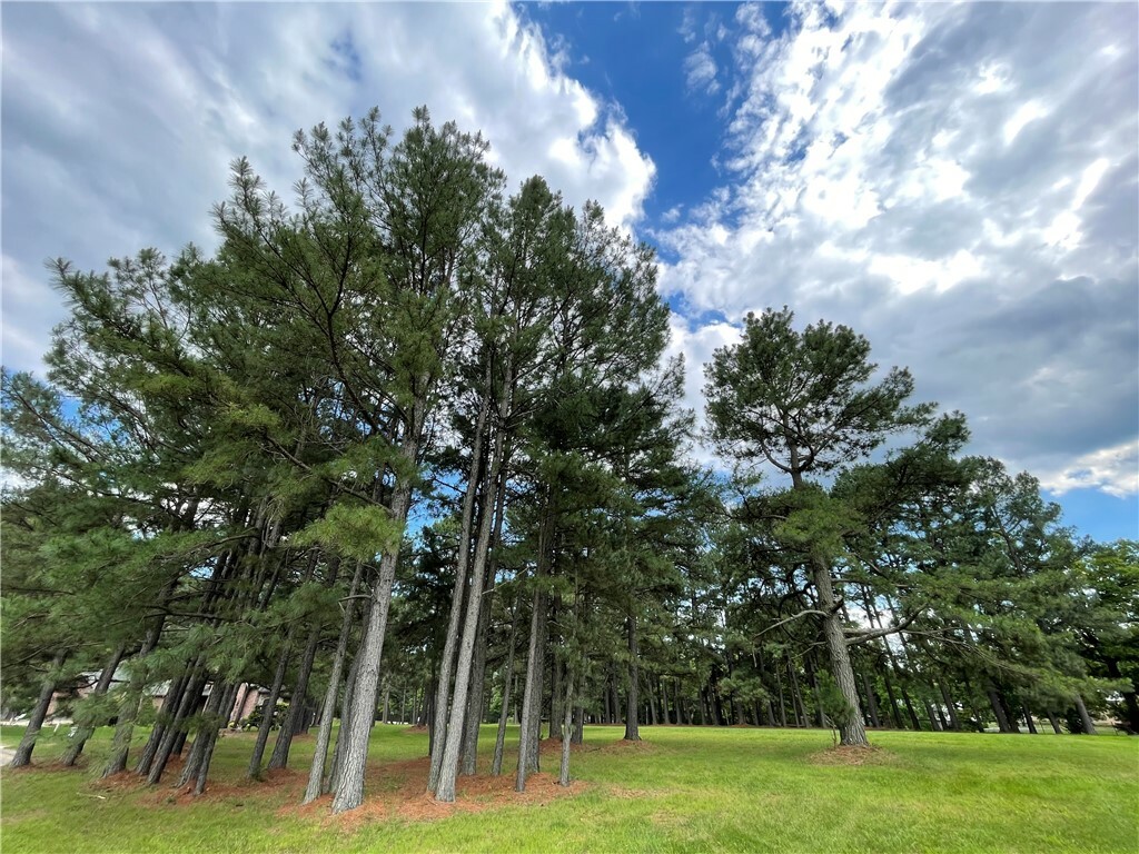 Property Photo:  Lot 20 Camelot Lane  AR 72758 