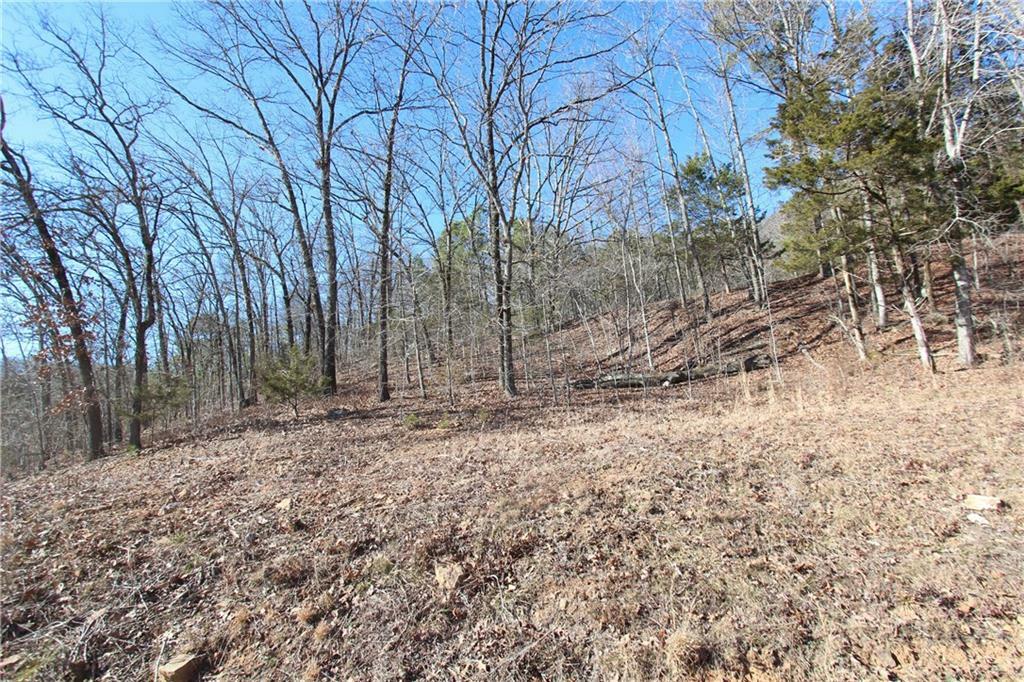 Property Photo:  Tbd Old Fern Road  AR 72946 