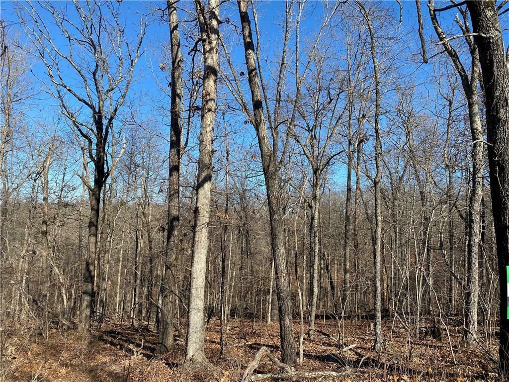 Property Photo:  Lot 33 Morley  AR 72714 