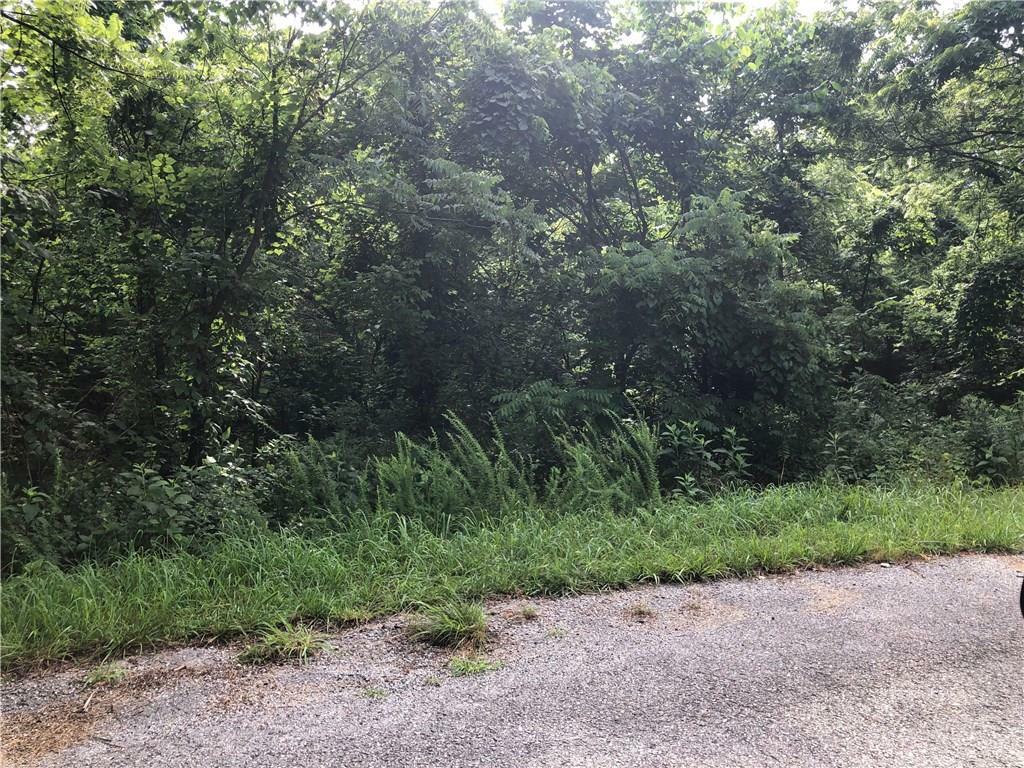 Property Photo: Lot 12 Lockhart Drive AR 72715