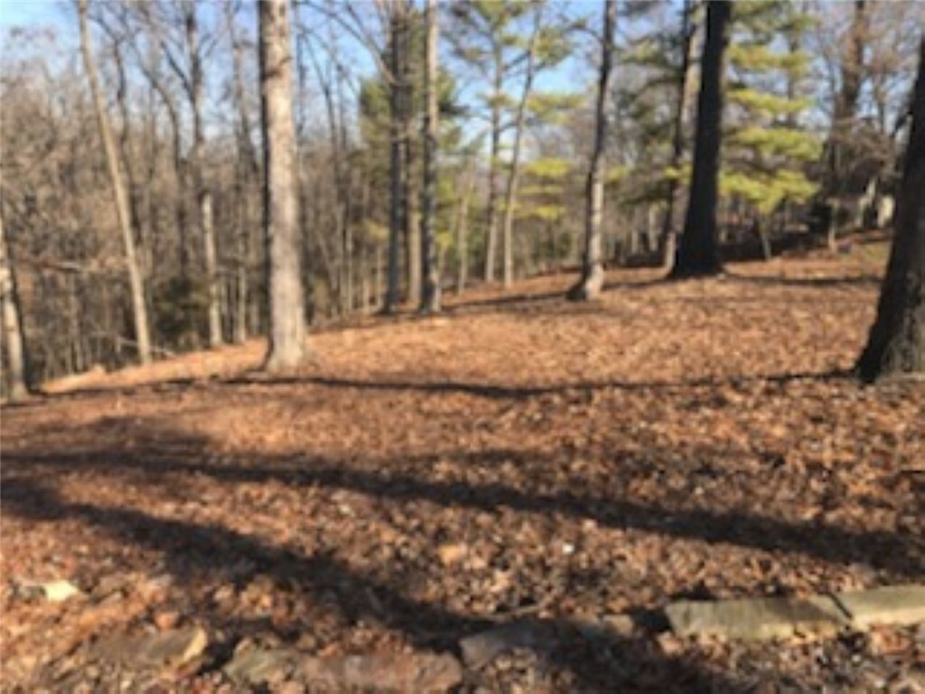 Property Photo:  Lot 19 NW Harvard Walk  AR 72712 