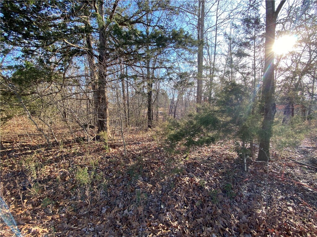 Property Photo:  Lot 36A Park Road  AR 72756 