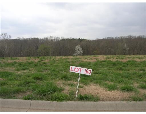 Property Photo:  Lot 190 Clear Creek Boulevard  AR 72741 