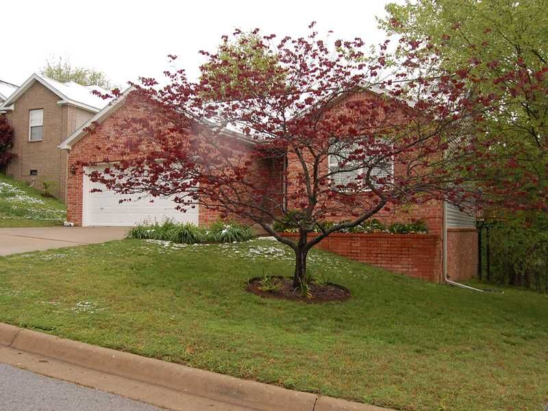 Property Photo: 17 Valley View Circle AR 72712