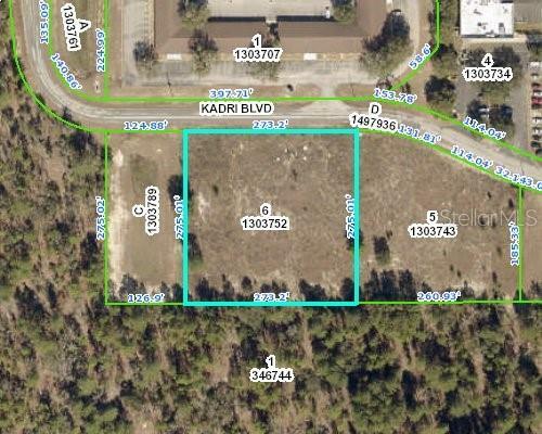 Property Photo: 12160 Kadri Boulevard FL 34608