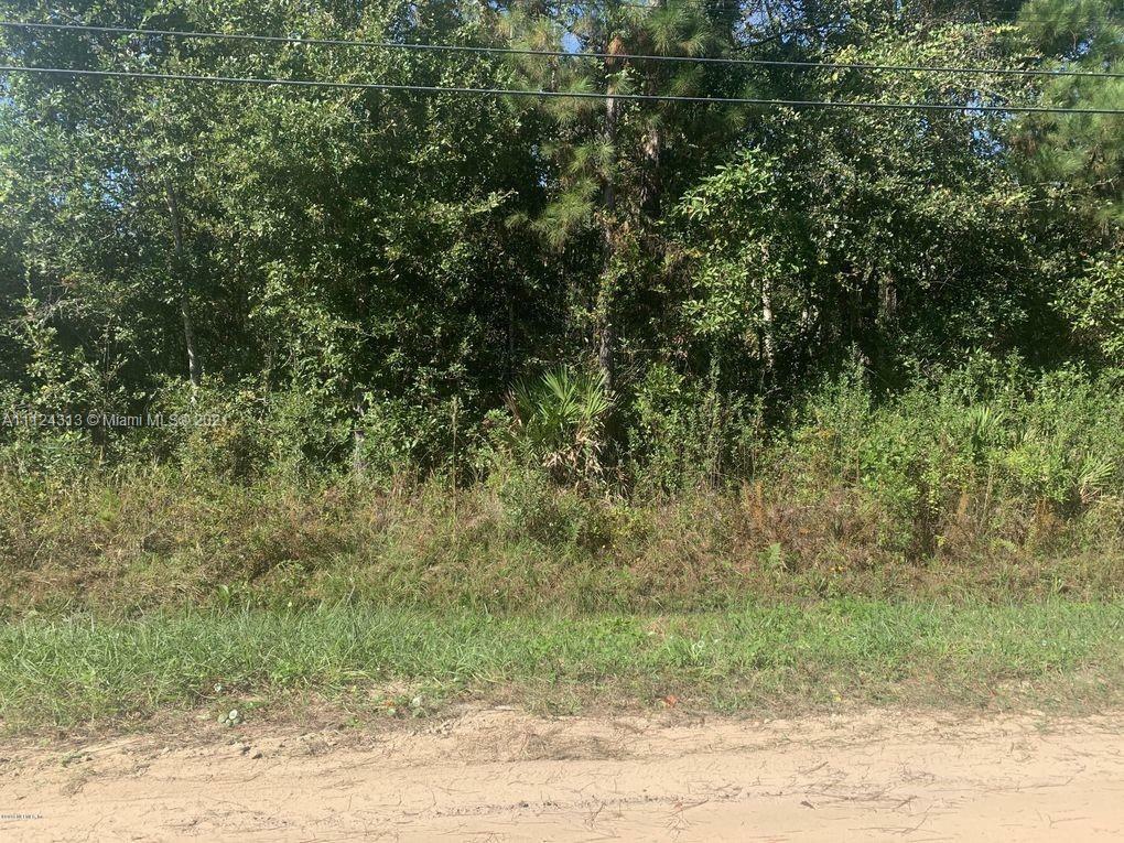 Property Photo: 4991 Sable Ave FL 32068