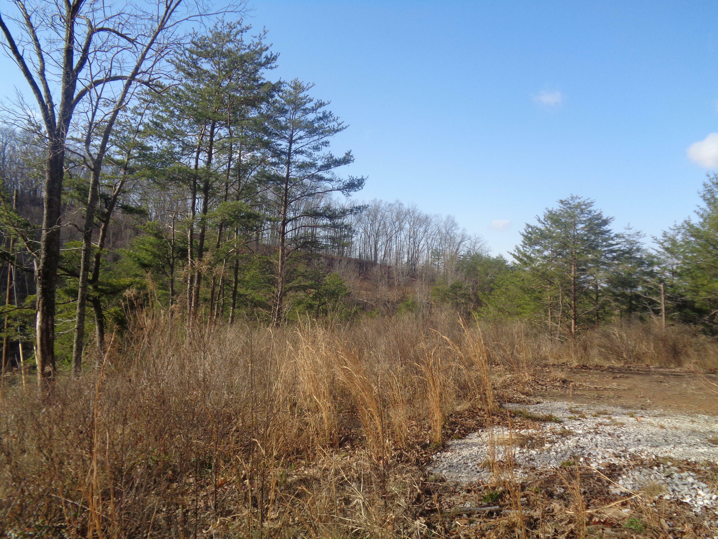 Property Photo:  6-7 Freeman Branch Road  KY 40729 