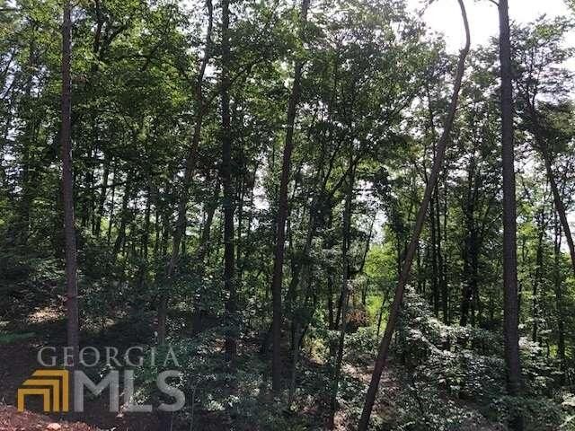 2830 Horseleg Creek Road  Rome GA 30165 photo